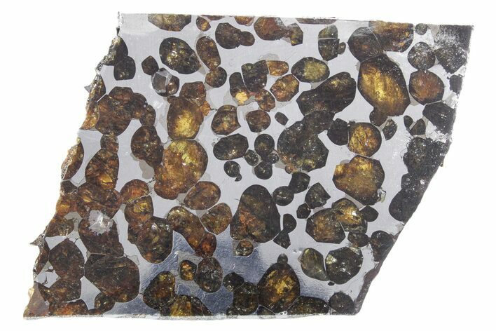 Polished Sericho Pallasite Meteorite ( g) Slice - Kenya #348919
